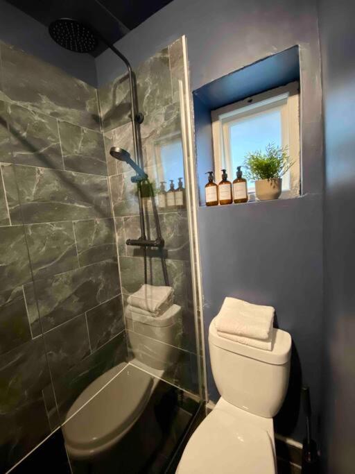 Stylish Studio For 3 Near Regents Park N4 London Bagian luar foto